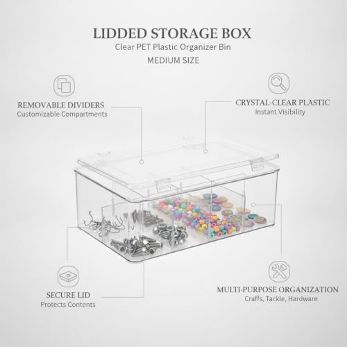 Lidded Storage Box with Removable Dividers, Clear PET Plastic Organizer Bin for Fishing Tackle, Craft Supplies, Hardware, Medium Size (1 PC)