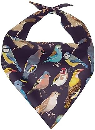 Howilath Colorful Birds Pet Kerchief Dog Scarf Accessories Washable Bandana, Scarf for Small to Large Dog, Puppy, Cat