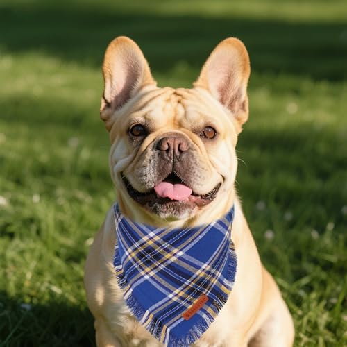 ADOGGYGO Dog Bandana Boy, Blue Plaid Cotton Scarf with Fringe, Small