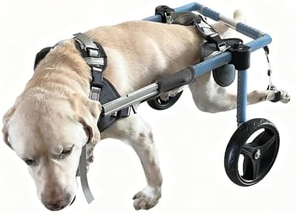 Doggy/cat Wheelchairs with Disabled Hind Legs Walking Adjustable Pet Mobility Cart Lightweight Aluminum Alloy Frame All Terrain Wheels for Post Surgery Recovery & Daily Walking Aid