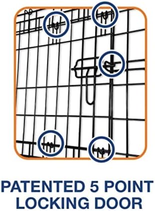 Precision Pet Products Two Door Provalue Wire Dog Crate, 42in | 5 Point Locking System for Pets 70 to 90 lbs, Folds Flat, No Assembly