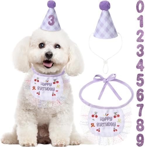 Chicingyou Dog Birthday Outfit Set Lace Bib Number Stickers, Cute, Purple