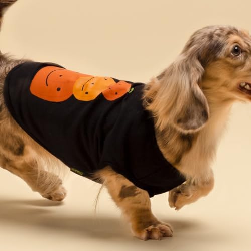 Fitwarm Thanksgiving Triple Pumpkins Dog Shirt, Fall Dog Clothes for Small Dogs Boy Girl, Funny Doggy Tshirt, Pet Outfit, Black, Orange, XS