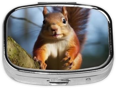 Squirrel Funny Animal Pill Box 2 Compartment Medicine Pill Organizer Square Pill Case for Purse & Pocket Travel Pillbox Portable Metal Medicine Vitamin Fish Oil Organizer Unique Gift