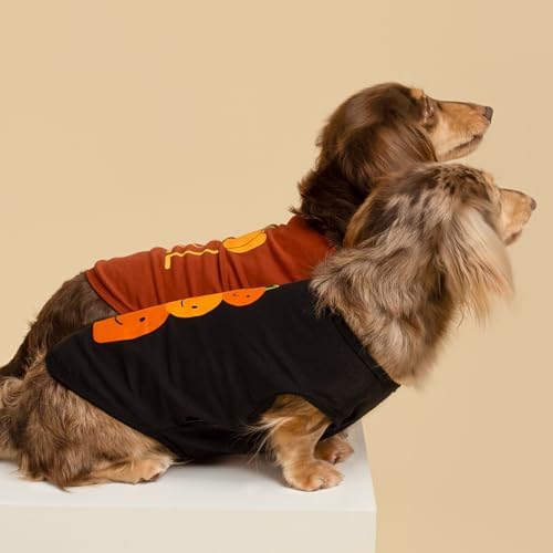 Fitwarm Thanksgiving Triple Pumpkins Dog Shirt, Fall Dog Clothes for Small Dogs Boy Girl, Funny Doggy Tshirt, Pet Outfit, Black, Orange, XXL
