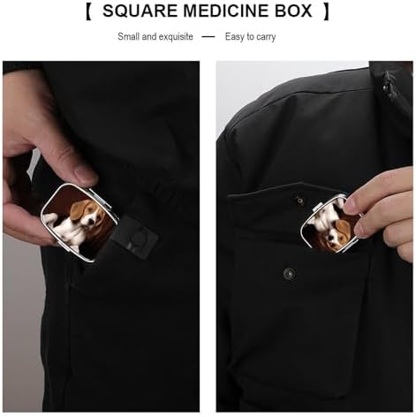 Metal Pill Box with Mirror - 2 Compartment Travel Pill Case for Purse Portable Pillbox Compact Vitamin Container Ovely Pet Dog Beagle Medicine Organizer for Fish Oil & Supplement