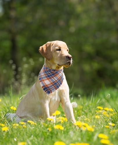 Fall Dog Bandana Autumn Thanksgiving Plaid Reversible Triangle Bibs Scarf