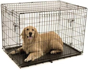 Precision Pet Products Two Door Provalue Wire Dog Crate, 42in | 5 Point Locking System for Pets 70 to 90 lbs, Folds Flat, No Assembly