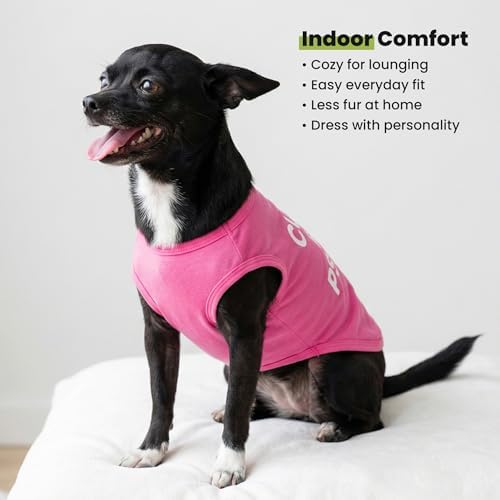 Fitwarm Cute But Psycho Dog Shirt, Summer Clothes for Small Dogs Girl, Funny Pet Outfit, Pink, White, XS