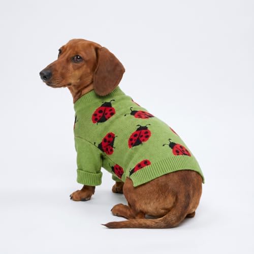 Fitwarm Ladybug Dog Sweater, Warm Dog Winter Clothes for Small Dogs Boy Girl, Pet Outfit, Green, Red, Black, Small