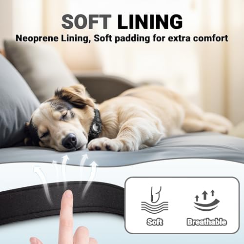 AirTag Dog Collar and Leash, IP68 Waterproof Integrated