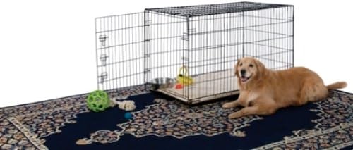 Prevue Pet Products Home On-The-Go Single Door Dog Crate - Extra Large Collapsible Dog Cage for Travel, Indoor, and Outdoor Use, Foldable Kennel Design, Deep Plastic Pan - XL, Black | Extra Large Collapsible Dog Cage for Travel, and Outdoor Use, Foldab...