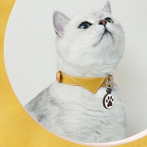 QR Code Cat Tag, Modifiable Pet Online Profile, Multiple Emergency Contact, Scannable QR Code, Instant Location Email Alert (Small Breeds - 1", Black & Blue & Rose & Purple)