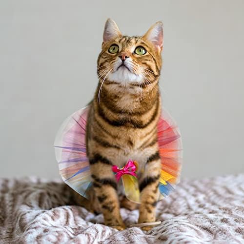 Threetols Rainbow Dog Costume - Christmas Pride Princess Dress for Cats & Dogs, Tutu & Collar Set for Small to Medium Pets, Perfect for Birthday Parties