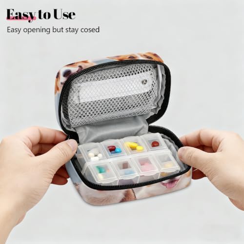 Travel Pill Organizer Two Cute Corgi Dogs Beach Pet Small Pill Case
