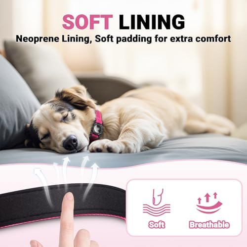 AirTag Dog Collar, IP68 Waterproof Integrated Air Tag Dog Collars