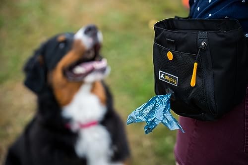 OllyDog Backcountry Day Bag | Hands-Free Dog Training Treat Pouch | Fanny/Hip Pack with Zipper Closure & Built-in Poop Bag Dispenser | Removable Waist Clip (Raven)