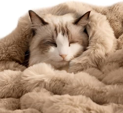SOMAHE Soft Faux Fur Cat Blanket, Washable, Small 22x18 Latte Coffee