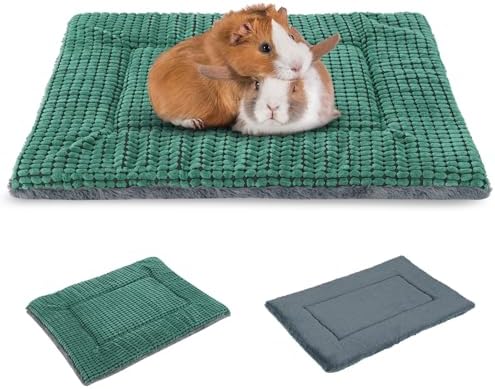BVAGSS Reversible Dog Crate Pad, Memory Foam Pet Bed Mat, Soft Warm Machine Washable Sleeping Kennel Mattress for Small Medium Dogs XH079 (21''x13''x1.6'',Green)
