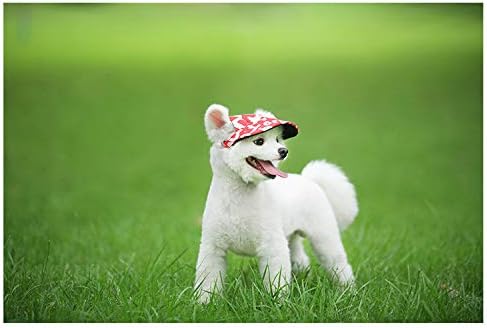 Leconpet Baseball Caps Hats with Neck Strap Adjustable Comfortable Ear Holes for Small Medium and Large Dogs in Outdoor Sun Protection (L, Black Jeans)
