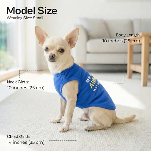 Parisian Pet Dog T-Shirt - Embroidered “ Awesome “ Dog Shirt - Pure Cotton and Lightweight Pet Clothes - Blue Sleeveless Pet Tee Shirts - Cute Puppy Clothes - Shirts for Small Dogs Boy - XS