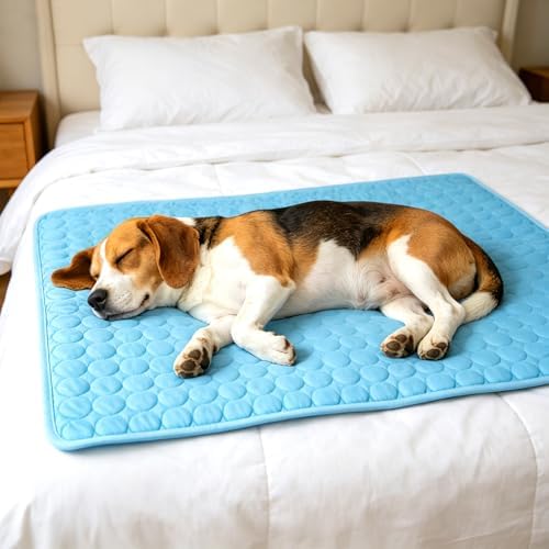 Portable Dog Cooling Mat, Q-Max 0.4 Non Slip Washable Pet Bed Pad | Fortable Washable Cooling Mat for Dogs, Fits Small Medium Large Dogs Cats Indoor Outdoor Use Heat Relief Pet Cool Bed