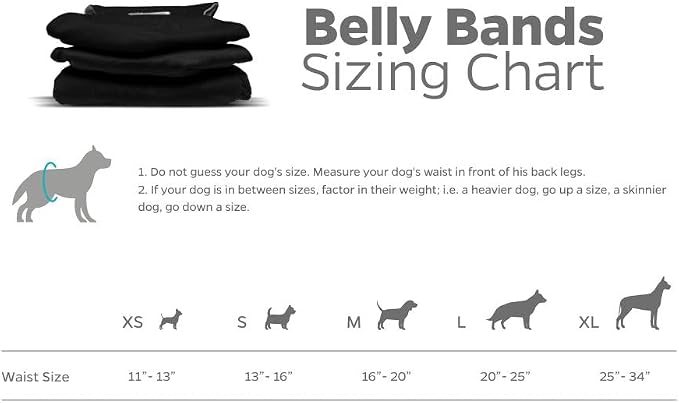 PET Parents Washable Belly Band Male Dog Diapers, Dog Wraps and EXTENDRS, Black, X-Large: 2