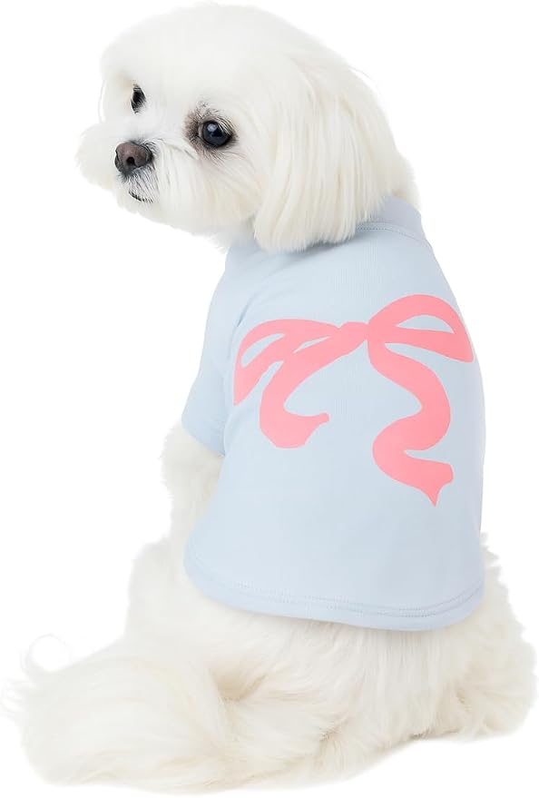Luxury Designer Dog T Shirt – Cute Puppy Clothes for Small Dogs, Fashion Pet Tee Outfit for French Bulldogs & Chihuahuas, Everything Chic Dog Apparel