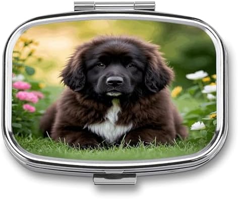 Cute Pet Newfoundland Dog Pill Case Daily Square Small Medicine Case Vitamin Organizer Box 2 Compartments Portable Metal Travel Medicine Box for Vitamins Fish Oils Supplements