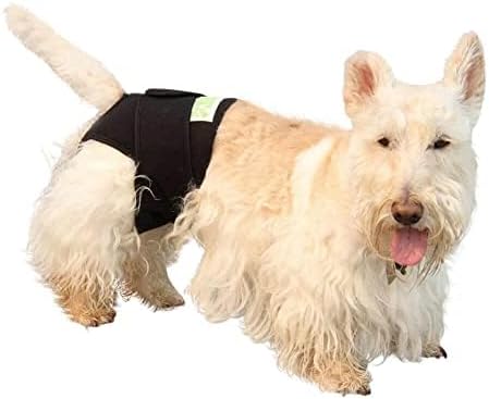 Healers PetCare Rear Wrap for Dogs, Calming Support, Medium | Calming compression wrap, incontinence and recovery support, hot/cold pockets, adjustable, breathable, washable