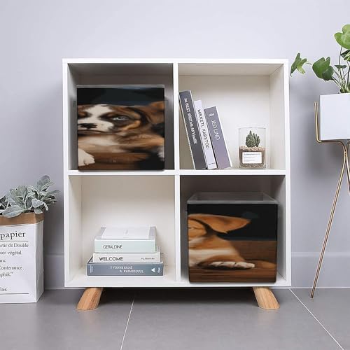 Puppies Dogs Pets Animals Collapsible Storage Bin, Storage Cubes with Handles, Organizer Bin for Home Office Closet Clothes, 10.6 X 10.6 X 10.6 Inches