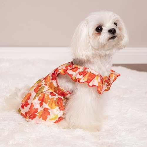 Fitwarm Maple Dog Dress, Ruffled Doggy Thanksgiving Dress, Fall Dog Clothes for Small Dogs Girl, Pet Outfit, Red, Orange, Small