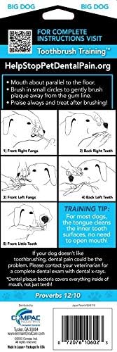 Brush My Teeth Big Dog Toothbrush, Rounded Brush Head with Soft Flexible Bristles for Safe and Gentle Brushing for Dogs, Any Large Breed or Puppy, Daily Brushing Adds Years of Healthy Life