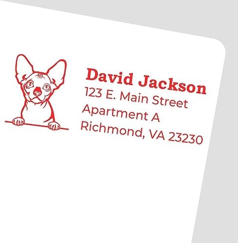 Peeking Bambino Cat Wood Handle Address Stamp - Custom Stamp for Mail | 4 lines. Bambino Cat Custom Address Stamp. Personalised Address Stamp for Housewarming Gifts. Rectangular.