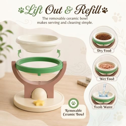 2-in-1 Wall Mounted & Elevated Cat Bowl, Floating Planet Bowl, Floating Wall-Mounted Pet Bowl, Foldable Pet Feeder Shelf, Adjustable Feeding Height, Removable Bowl for Dogs and Cats