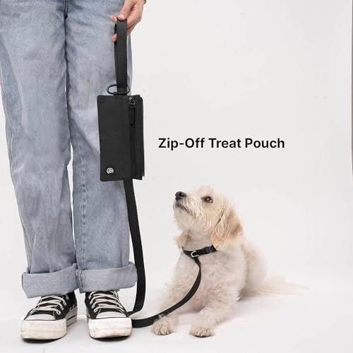 Cleverpup Porter 2-in-1 Dog Gear Travel Backpack - 10 Pockets, Graphite