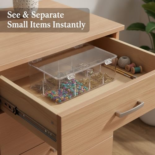Lidded Storage Box with Removable Dividers, Clear PET Plastic Organizer Bin for Fishing Tackle, Craft Supplies, Hardware, Medium Size (1 PC)