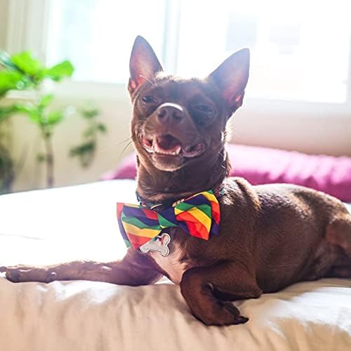 Huxley & Kent Pet Bow Tie for Dogs & Cats - PrideTheme Adjustable Hook & Loop Collar Accessory - Cute & Comfortable for Holidays & Celebrations - Pride Equality, Extra-Large | Hook & Loop Attaches to Any Collar, Soft Polyester, Lightweight & Machine Wa...