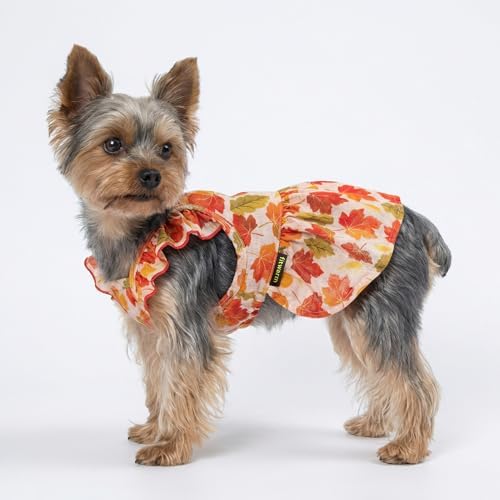 Fitwarm Maple Dog Dress, Ruffled Doggy Thanksgiving Dress, Fall Dog Clothes for Small Dogs Girl, Pet Outfit, Red, Orange, XS