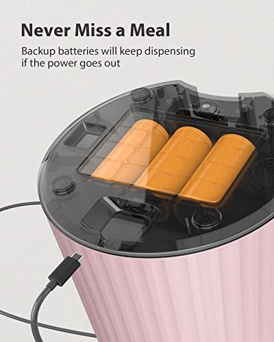 Petory Timed Automatic Cat Feeder - 4L Dry Food Dispenser for Cats and Dogs