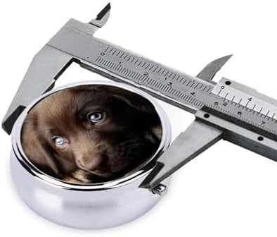 Pill Box 3 Compartment Medicine Pill Case for Pocket or Purse Mini Metal Pillcase Puppies Dog Pill Holder Vitamin Organizer Portable Travel Pills Container to Hold Supplements Vitamins