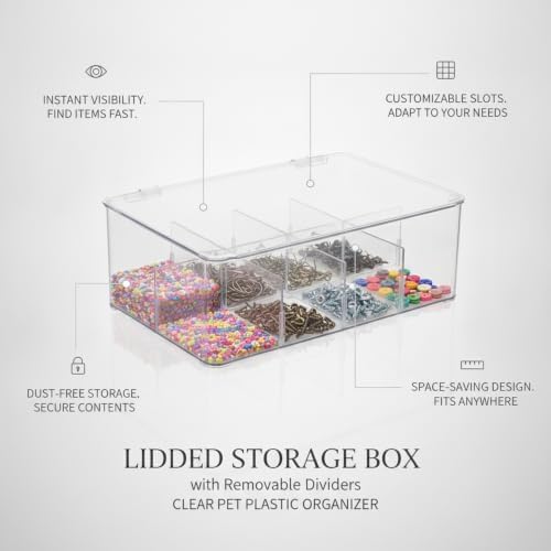Quick-Access Clear Storage Bin with Adjustable Dividers, Medium PET Organizer Box for Tackle and Crafts, Easy-to-Clean Lidded Container (1 Pack)