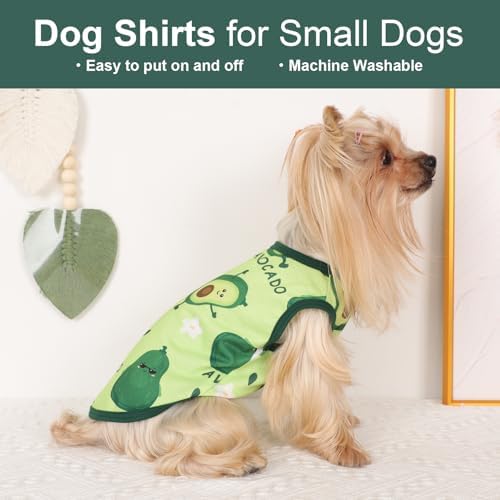 Dog Shirt Vest Dog Clothes for Small Dogs Boy Girl Stretchy Summer Puppy T-Shirts Soft Breathable Lightweight Puppy Sweatshirt Pet Cat Outfit (Avocado, Small)