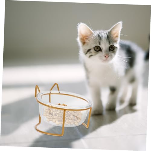 Milisten Elevated Cat and Dog Feeding Bowl Tilted Pet Food Container and Water Dish Raised Glass Bowl Protecting Spine for Comfortable Dining Experience