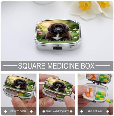Cute Pet Newfoundland Dog Pill Case Daily Square Small Medicine Case Vitamin Organizer Box 2 Compartments Portable Metal Travel Medicine Box for Vitamins Fish Oils Supplements