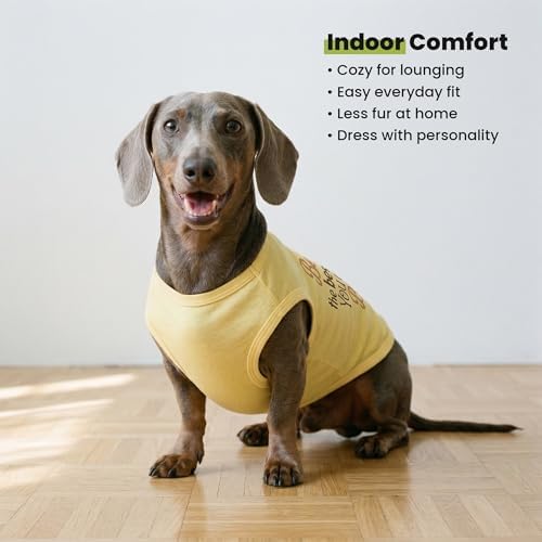 Fitwarm Bee the Best You Can Dog Shirt, Summer Clothes for Small Dogs Boy Girl, Funny Pet Outfit, Yellow, Brown, Blue, Large