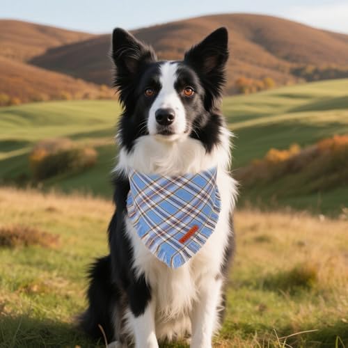 ADOGGYGO Dog Bandana Boy, Blue Plaid Cotton Scarf with Fringe, Large