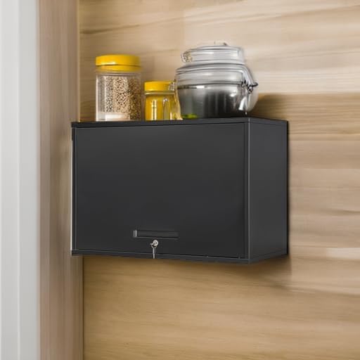 Metal Garage Wall Cabinet with Doors and Shelves, Wall Mounted Metal Storage Cabinet, Floating Garage Tool Cabinet for Garage, Basement, Kitchen, Warehouse (Black, 21.6" H)