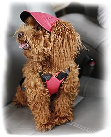 Leconpet Baseball Caps Hats with Neck Strap Adjustable Comfortable Ear Holes for Small Medium and Large Dogs in Outdoor Sun Protection (L, Red)