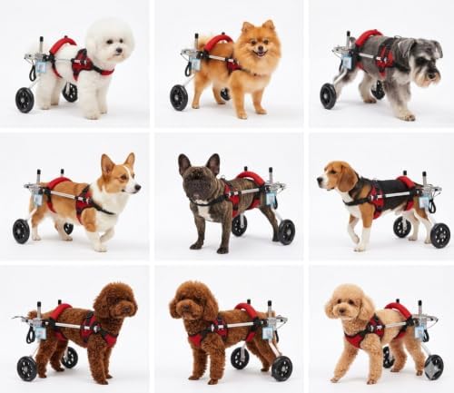 Dog Wheelchair for Back Legs Adjustable Pet Mobility Cart for Hind Leg Durable，Breathable Mobility Aid for Hip Dysplasia Support & Rehab Walking